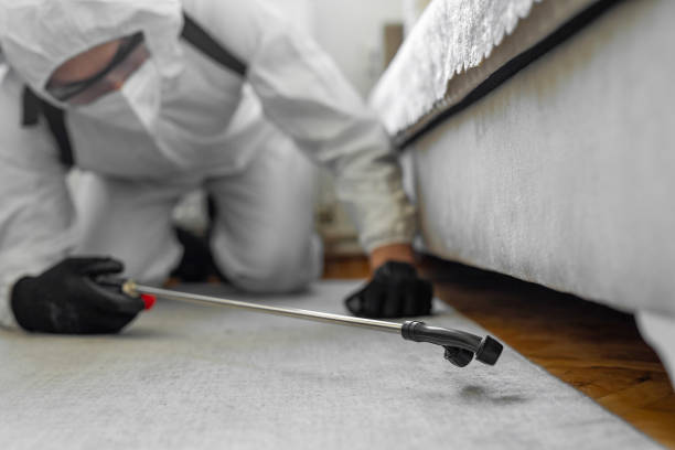Professional Bed Bug Control technician working in Saranac Lake, NY