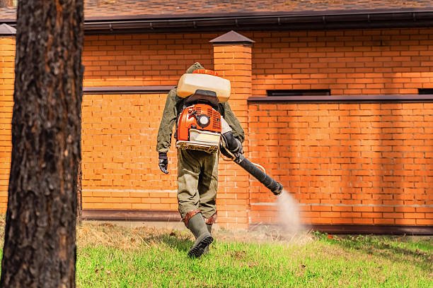 Trusted Mosquito Control service in Saranac Lake, NY - Nex Pest Control